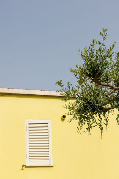Mediterranean Lemon Drop