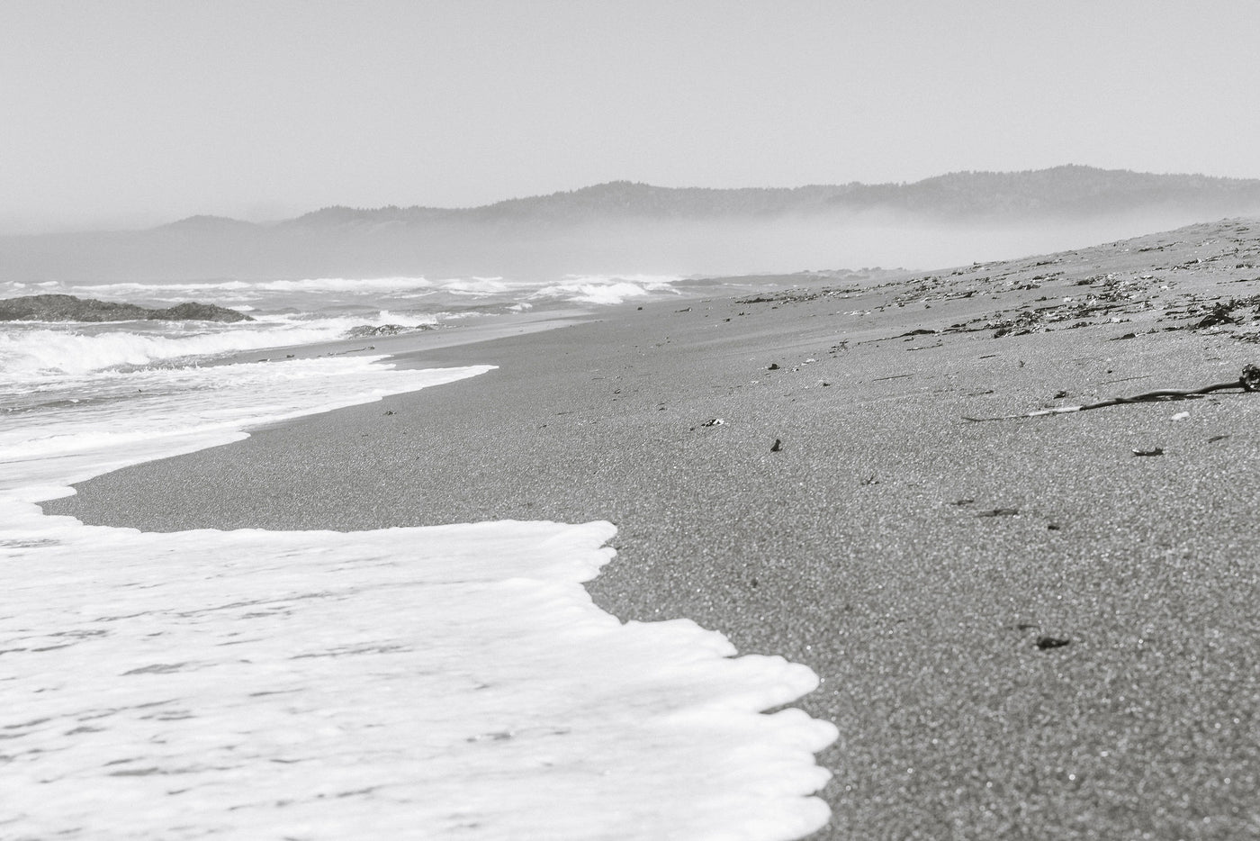 Tranquil Shores