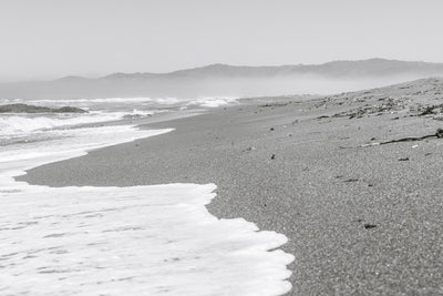 Tranquil Shores