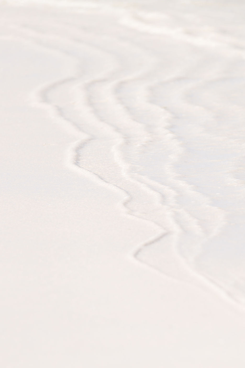 Print Image