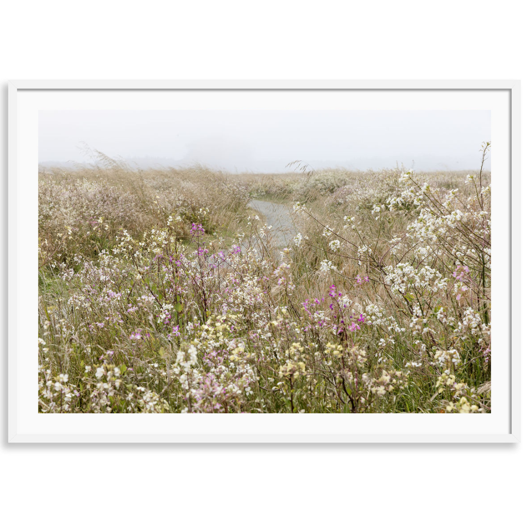 Mendocino Coast Blooms 3