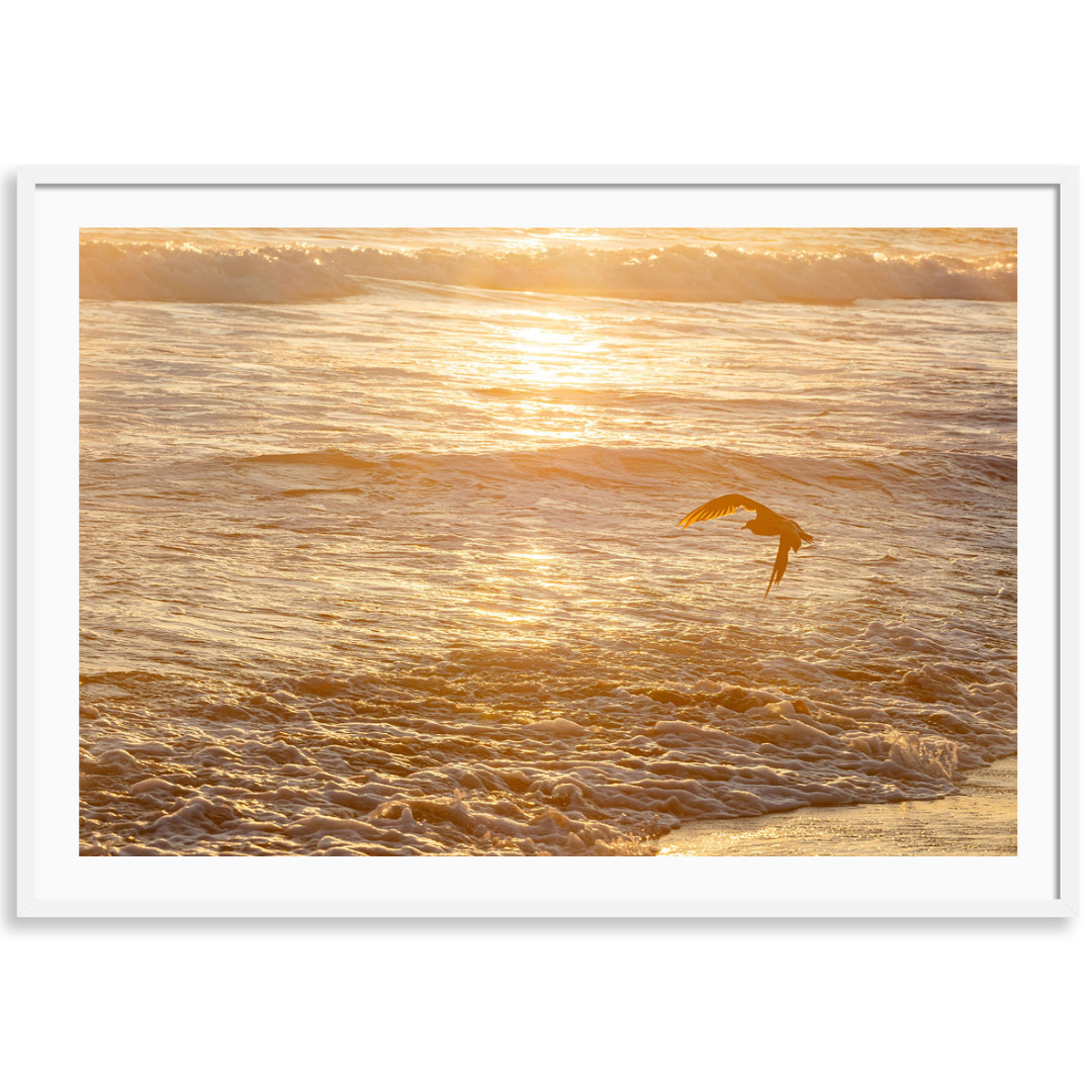 Crystal Cove Sunset 7