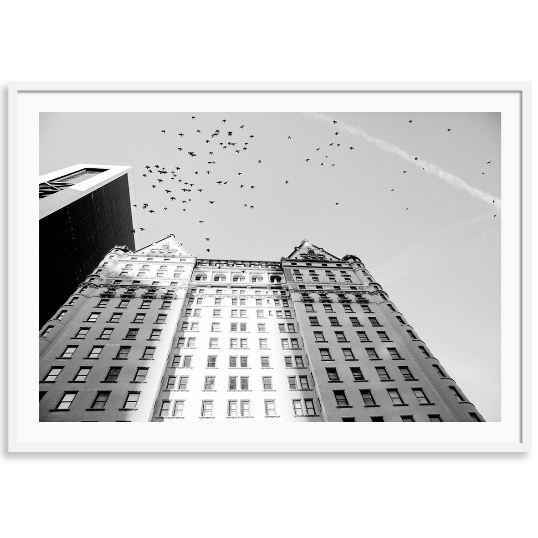 Flight Over the Plaza