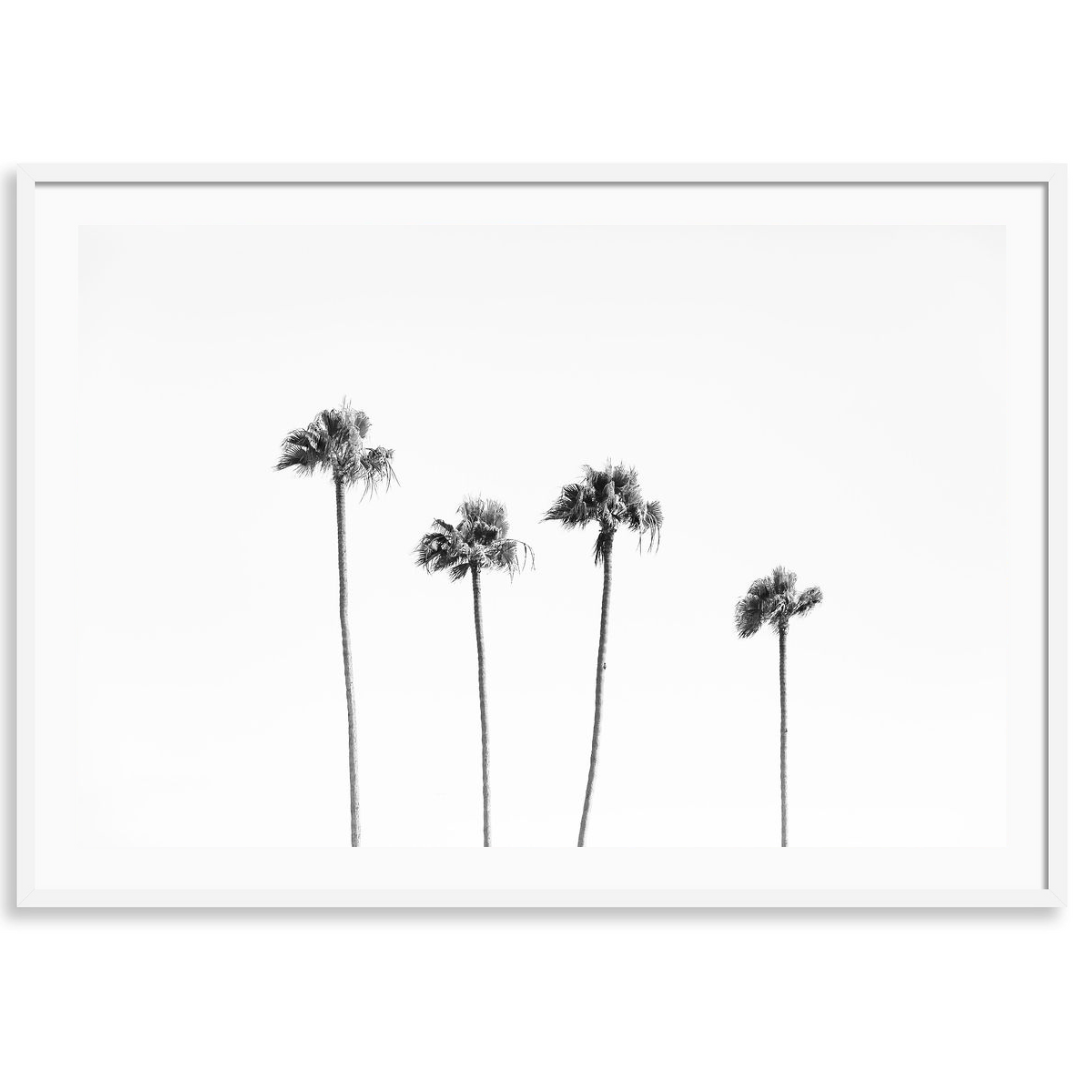 Beverly Hills Palms