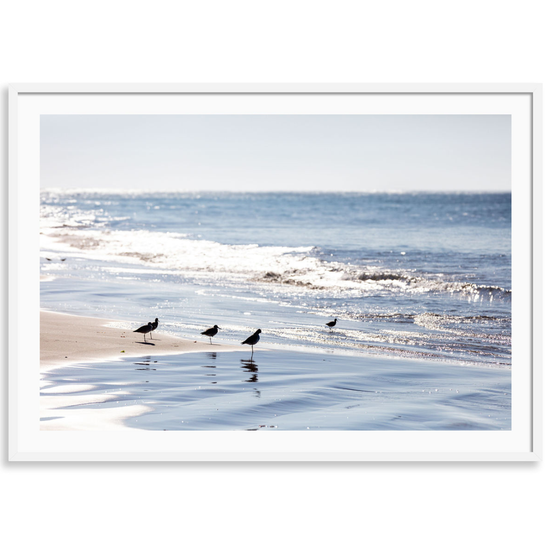 Seaside Gathering