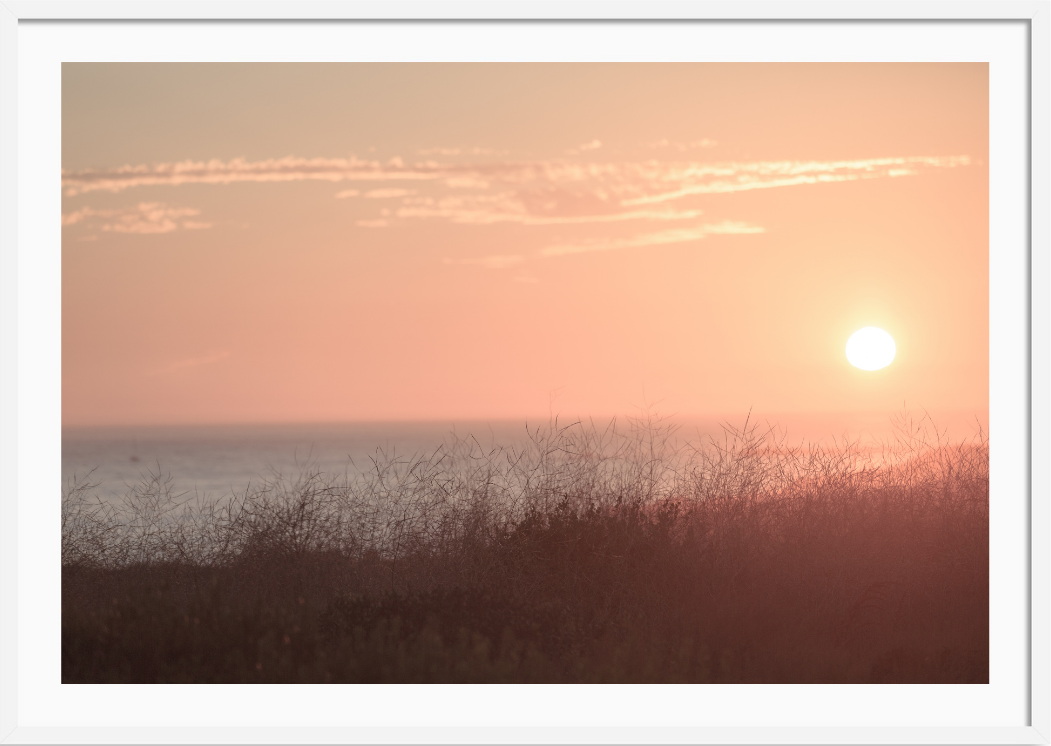 Newport Sunset