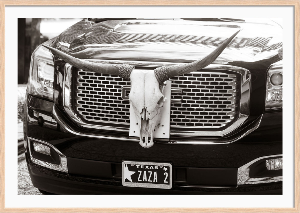Texas Longhorns