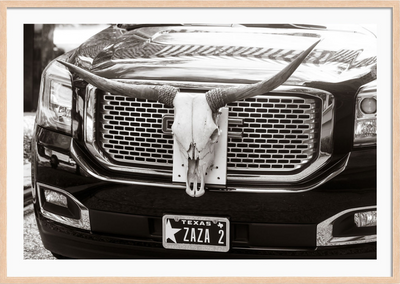 Texas Longhorns
