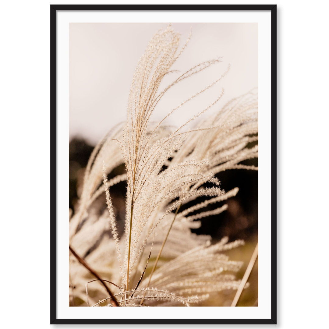 Wild Grass