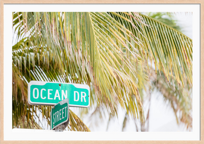 Ocean Drive