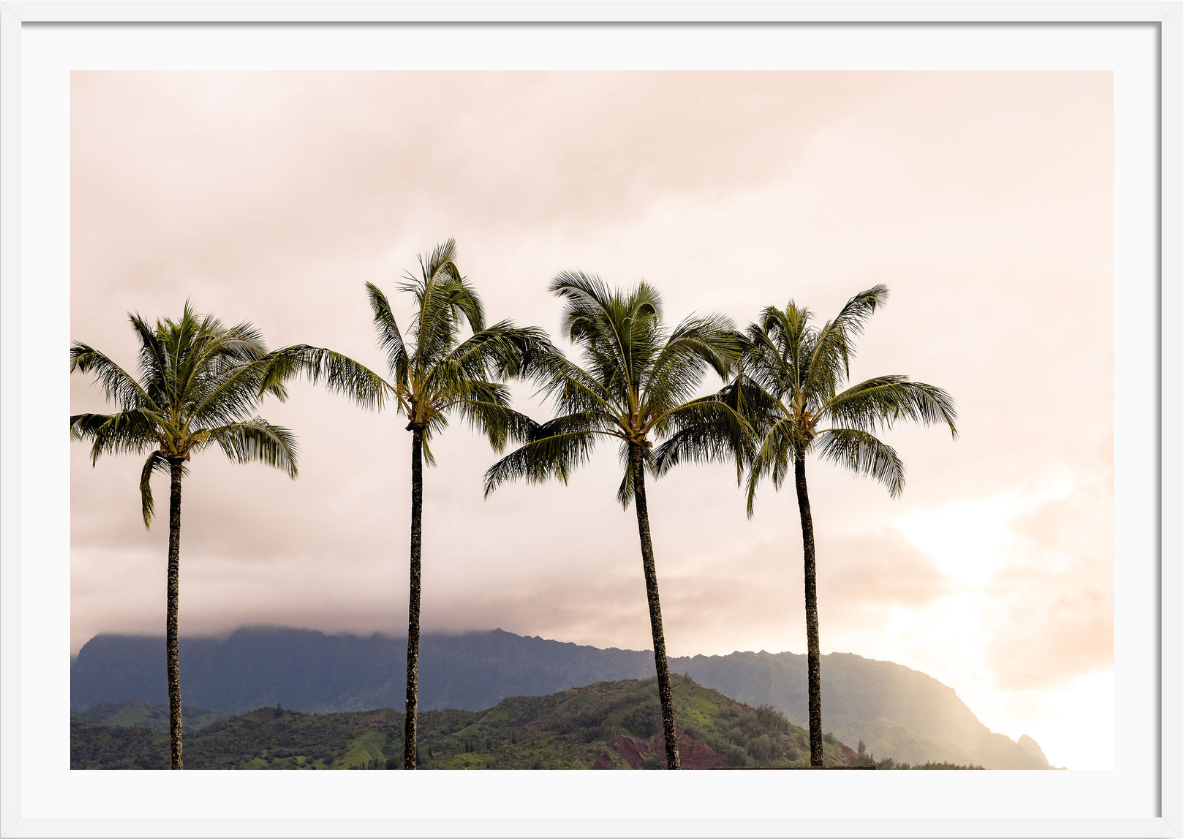 Hanalei Bay Palms