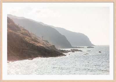 Japan Coastline