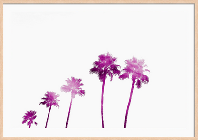 Pink Palms