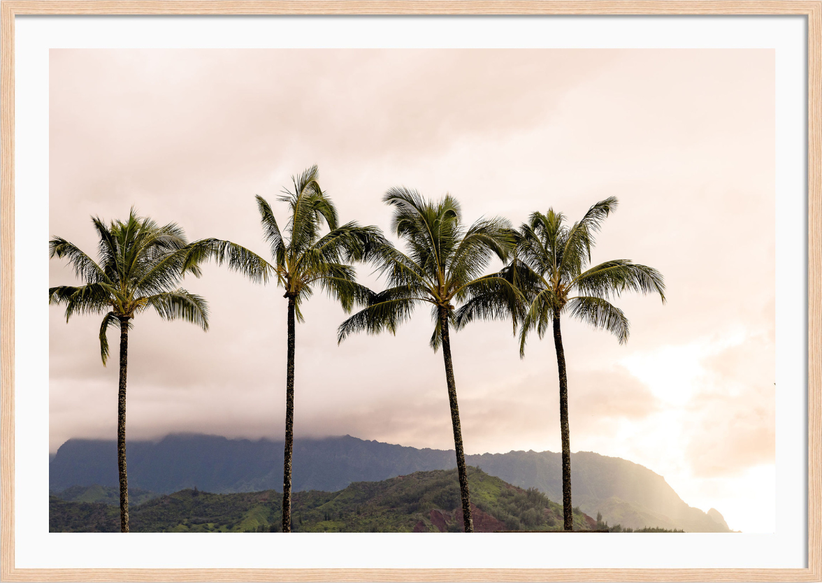 Hanalei Bay Palms