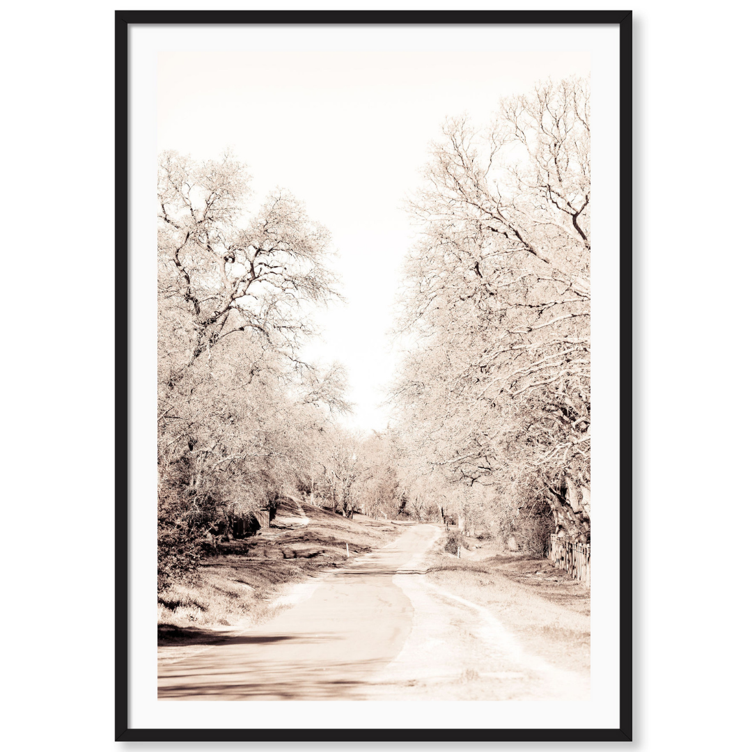 Fall Trail