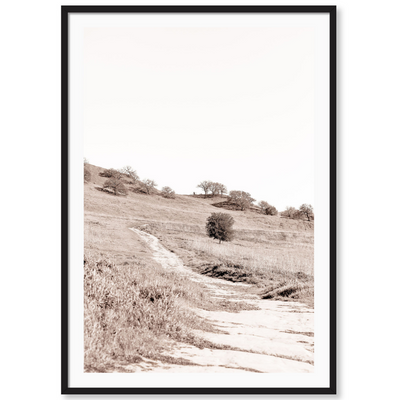 Sepia Trail