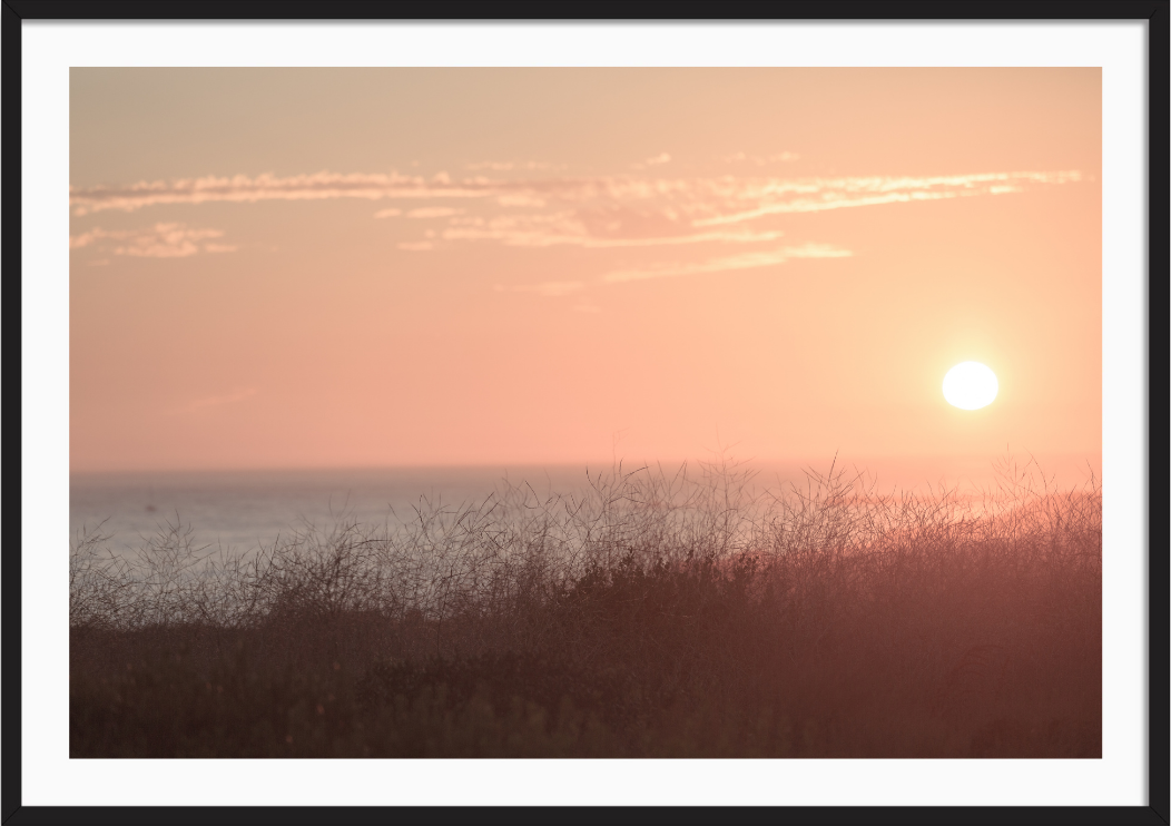 Newport Sunset