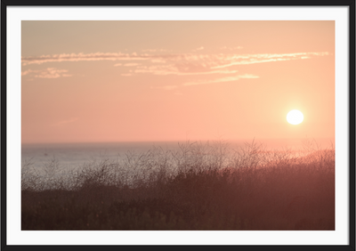 Newport Sunset