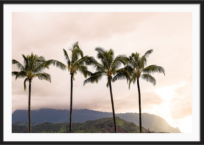 Hanalei Bay Palms