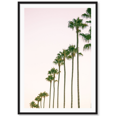 California Ladies