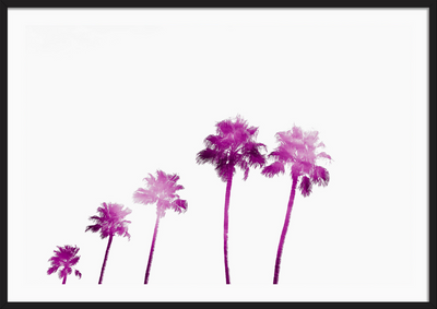 Pink Palms
