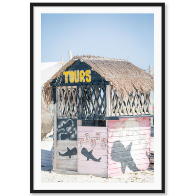 Beach Tours