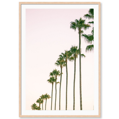 California Ladies