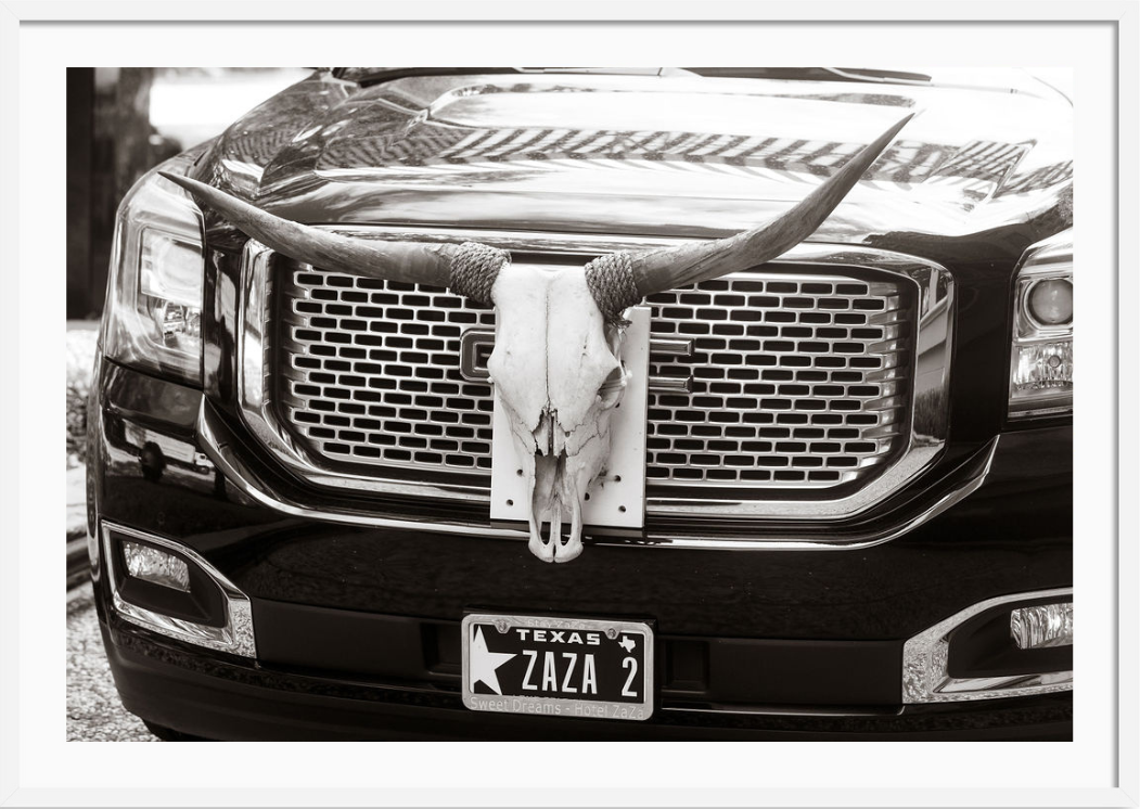 Texas Longhorns