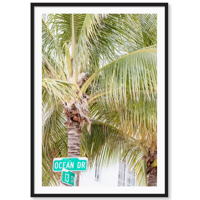 Ocean Drive