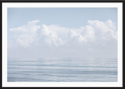 Palm Beach Delight
