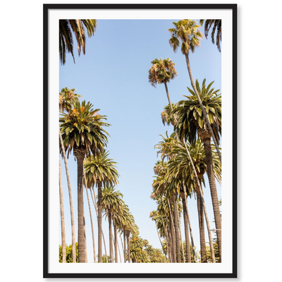 Beverly Hills