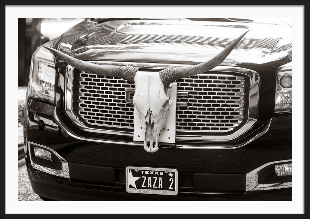 Texas Longhorns