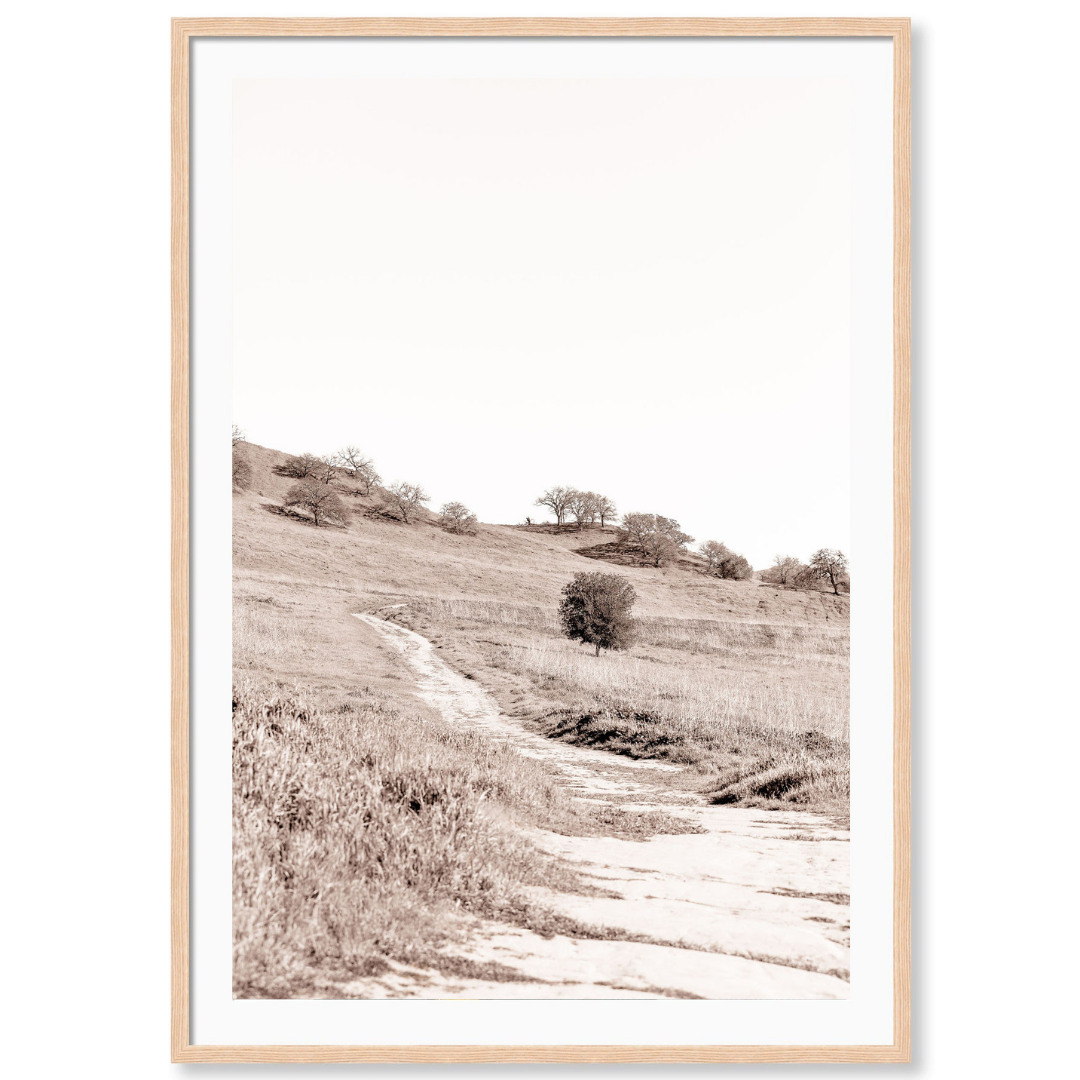 Sepia Trail