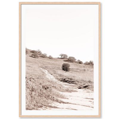 Sepia Trail