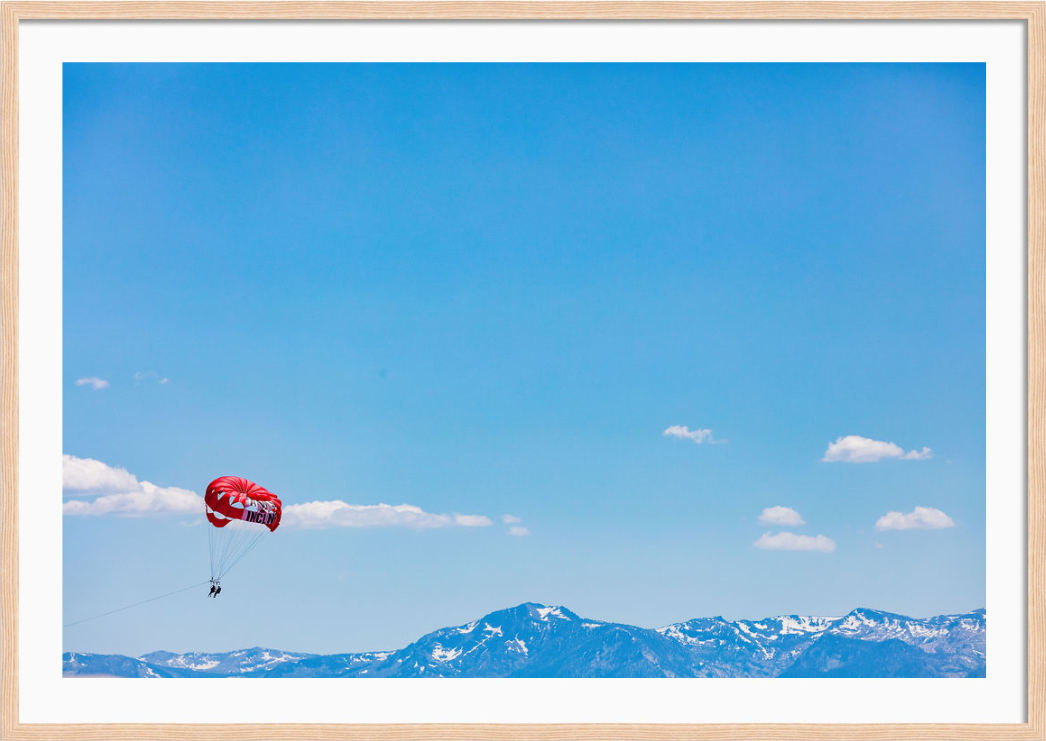 Flying High