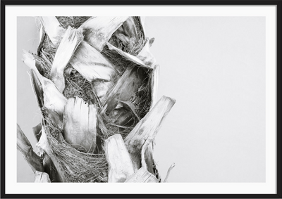 Palm Trunk