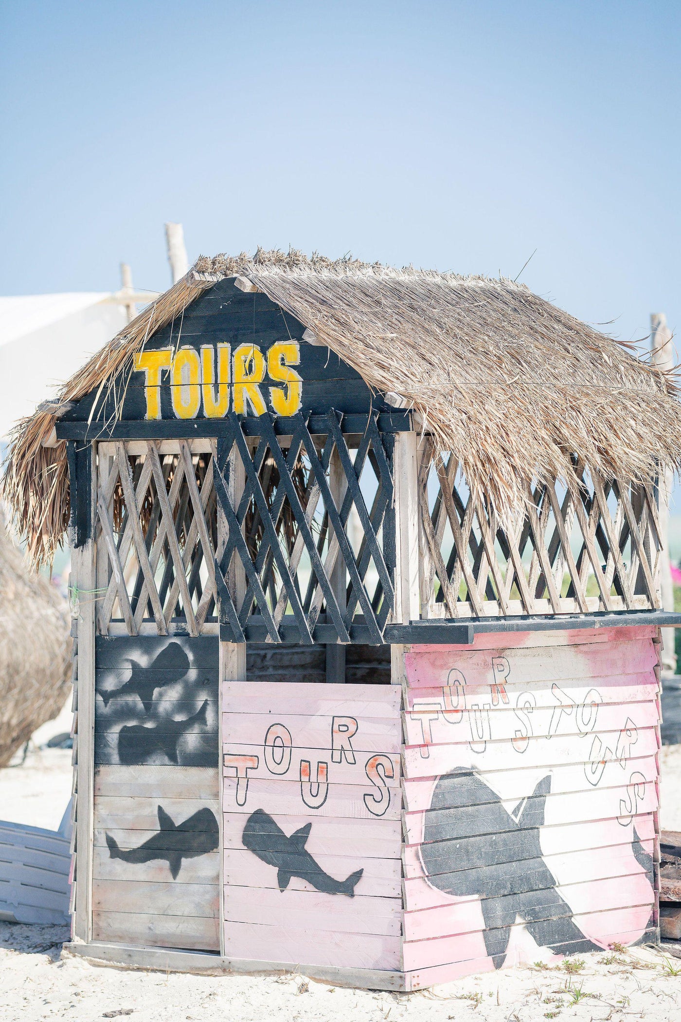 Beach Tours