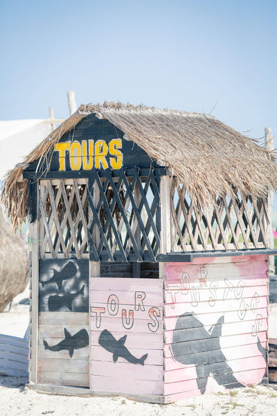 Beach Tours