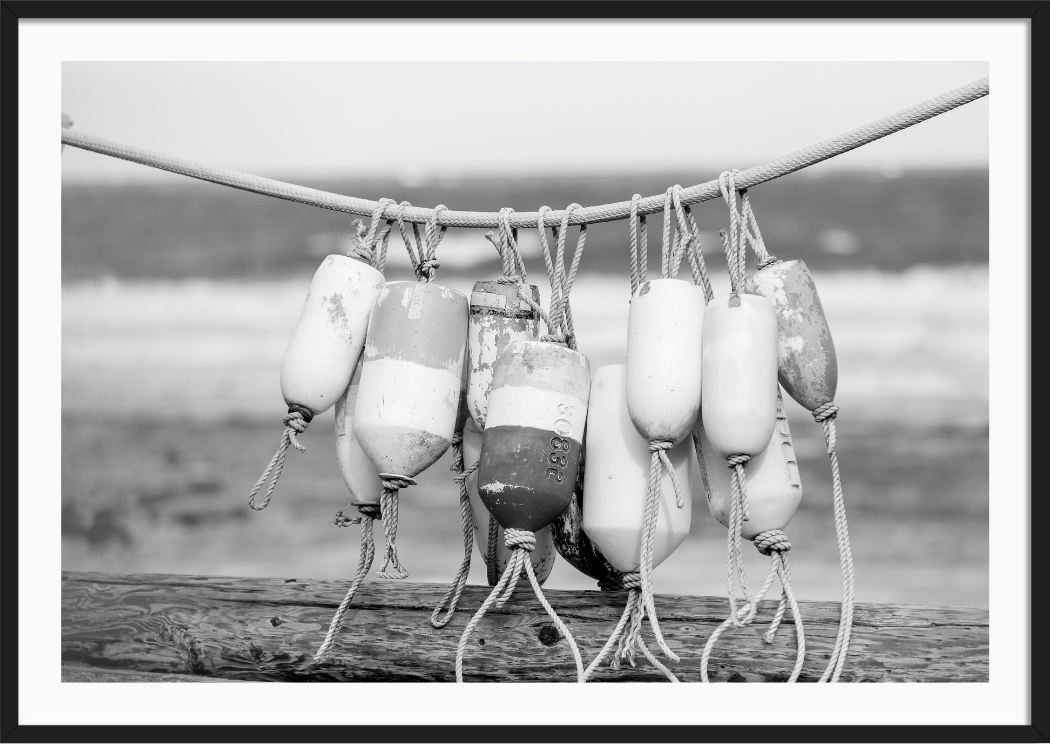 Black and White Buoys