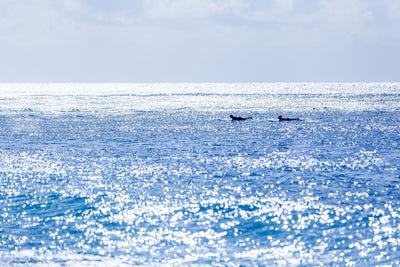 Blue Surf 8X12 / Print Only Prints
