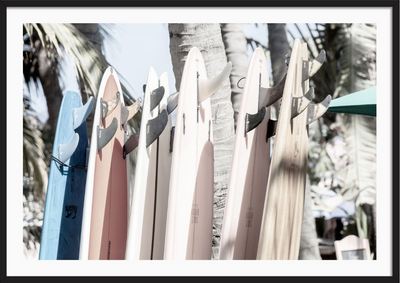 Boards Up