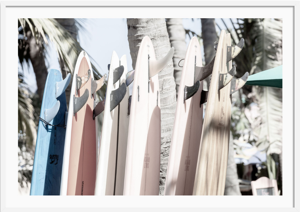 Boards Up