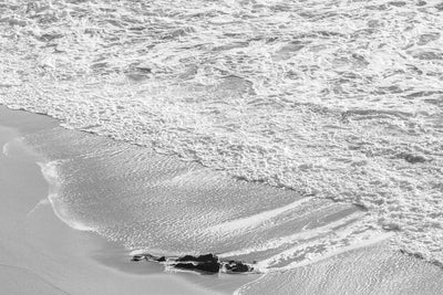 Black and White Shoreline
