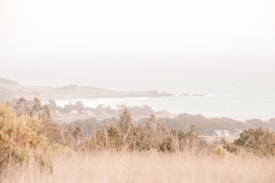 Sea Ranch Coastline