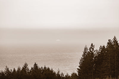 Sea Ranch Lookout