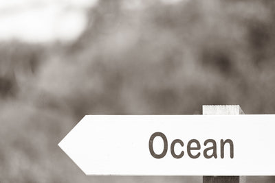 Ocean