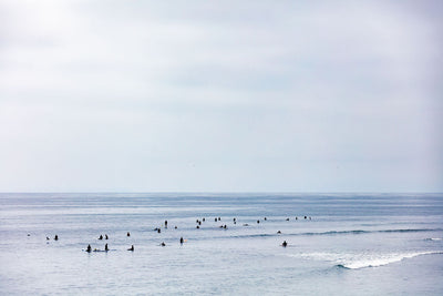 Malibu Surfers
