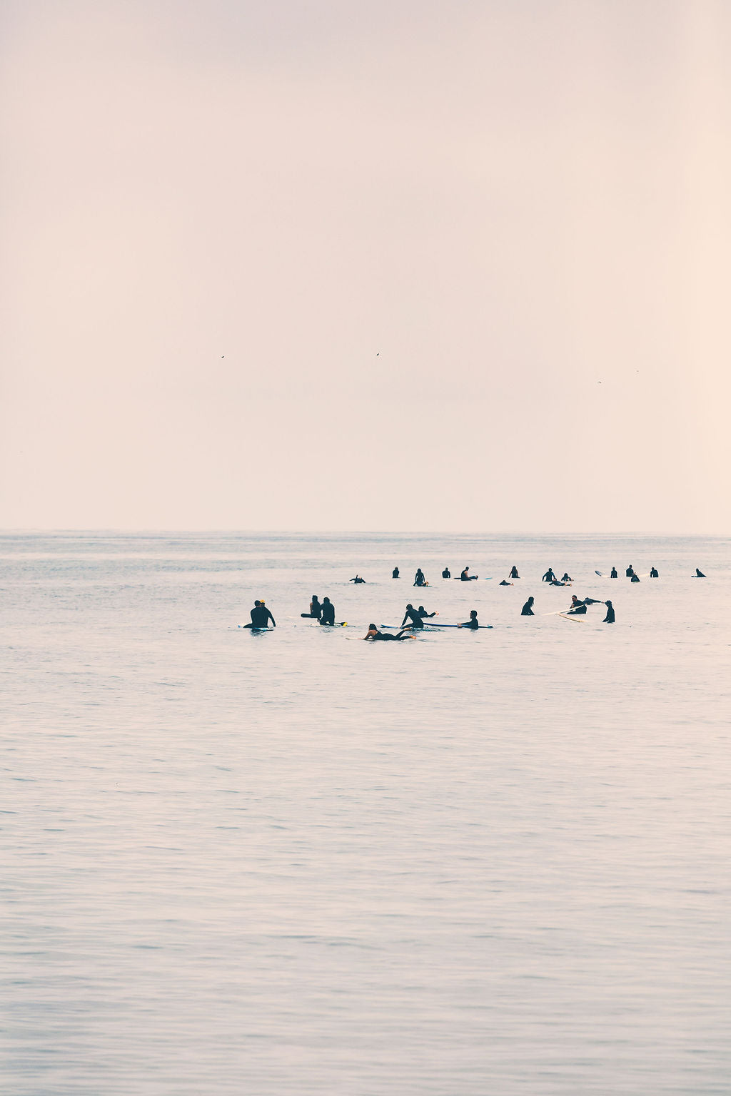 Malibu Surfers