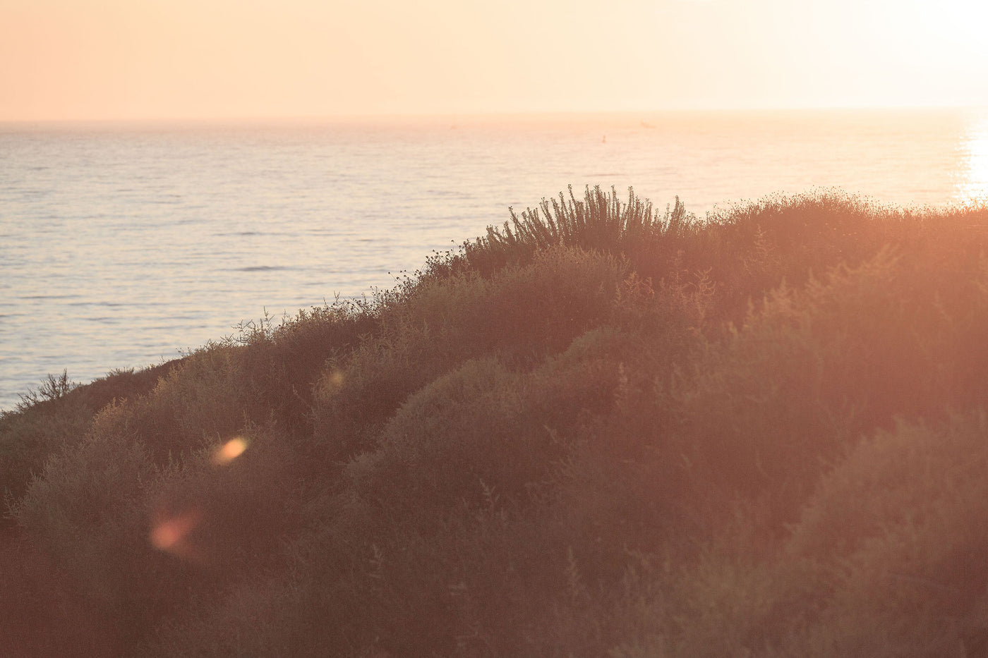 Sunset Overlook