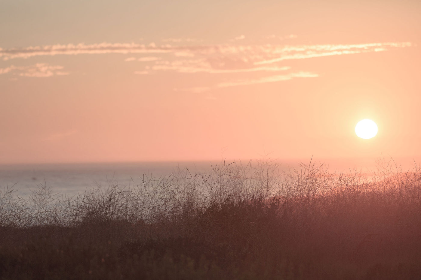 Newport Sunset